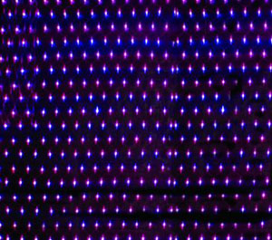 LED purple net